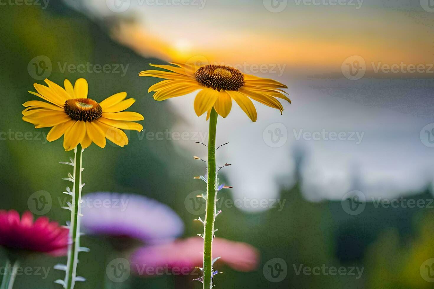two yellow flowers are in front of the sunset. AI-Generated photo