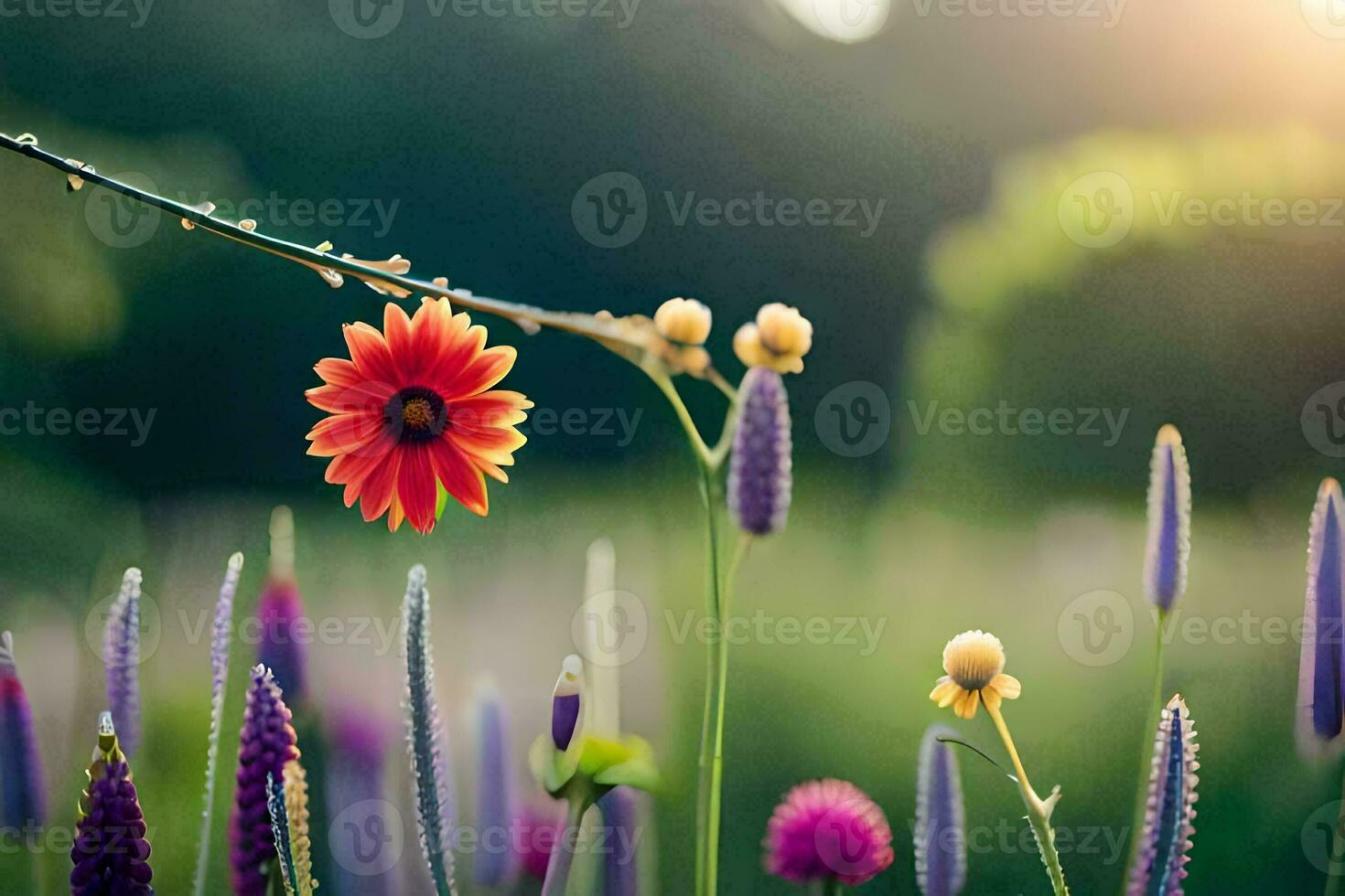 photo wallpaper the sun, flowers, the field, the sun, the field, the sun,. AI-Generated