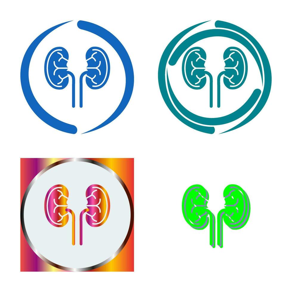 Kidney Vector Icon