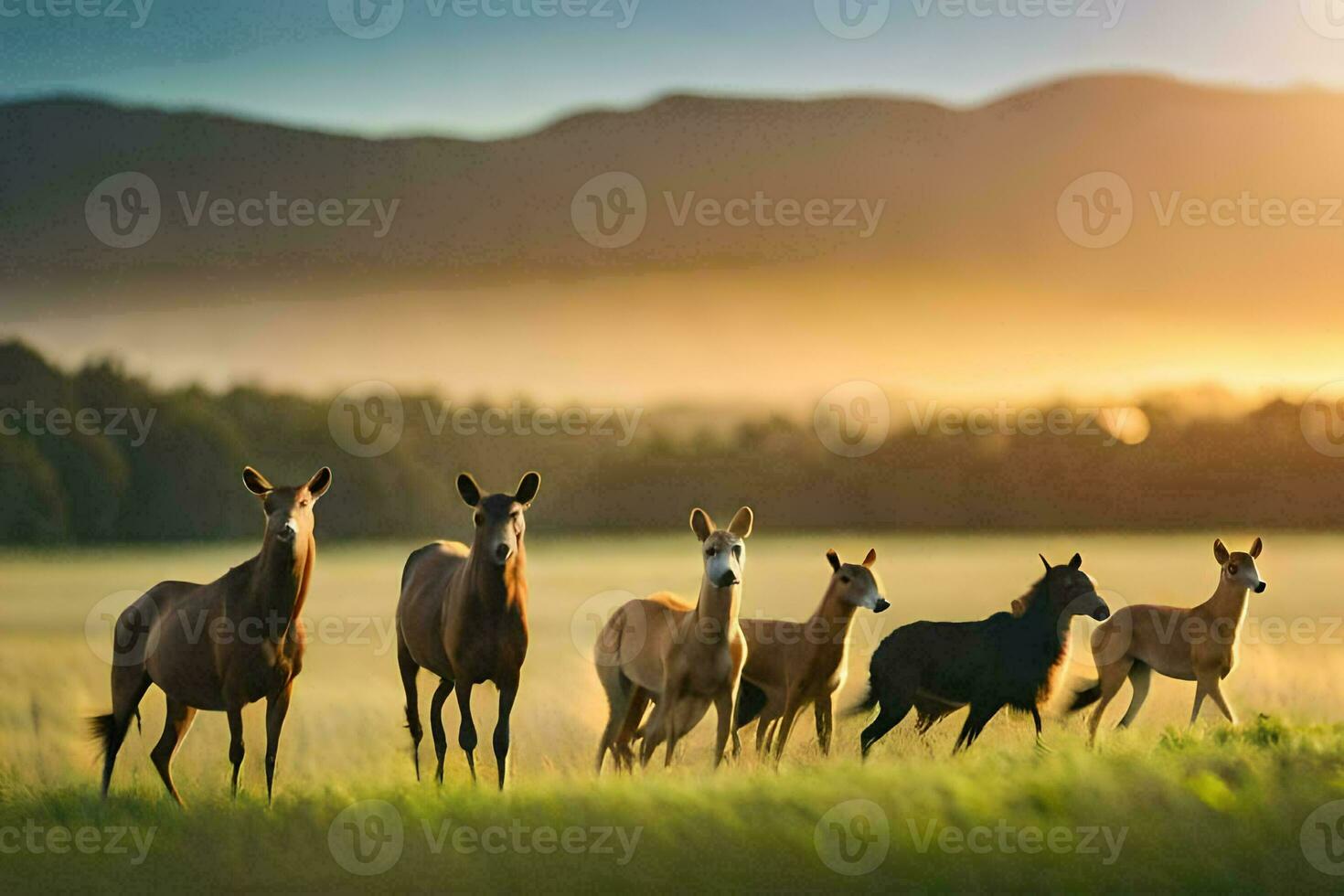 a group of horses running in the field at sunset. AI-Generated photo