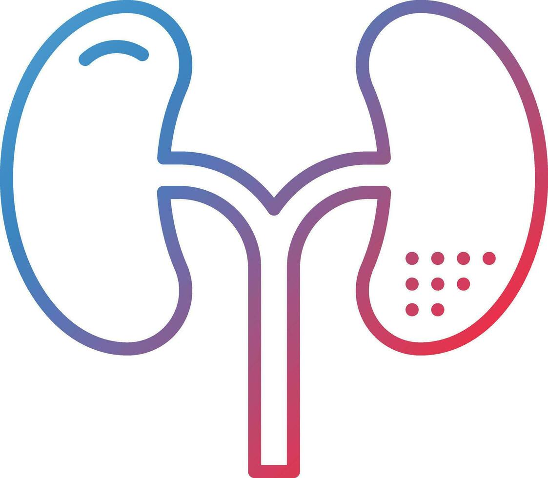 Kidneys Vector Icon