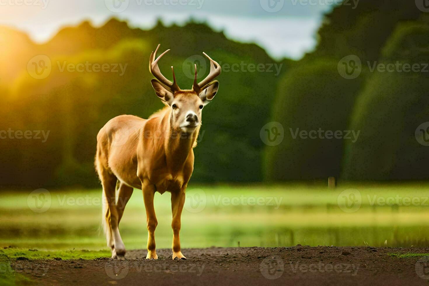 a deer stands in the middle of a field. AI-Generated photo