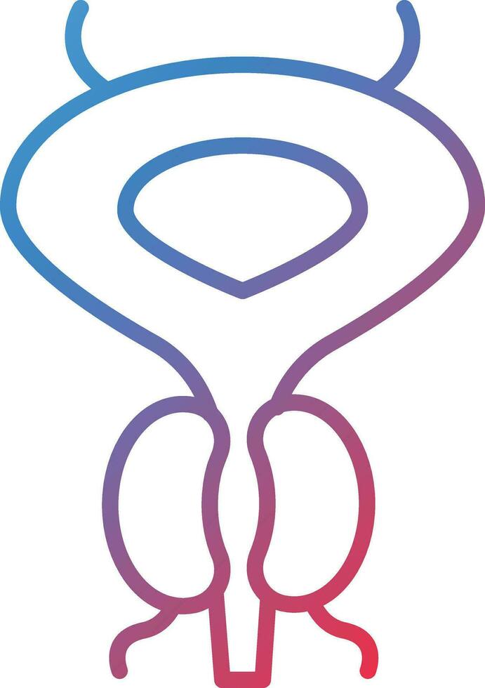 Prostate Vector Icon