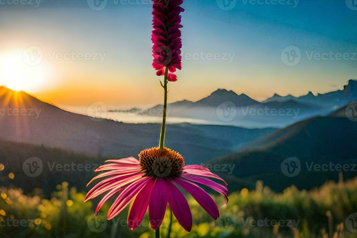 a pink coneflower in the mountains at sunset. AI-Generated photo