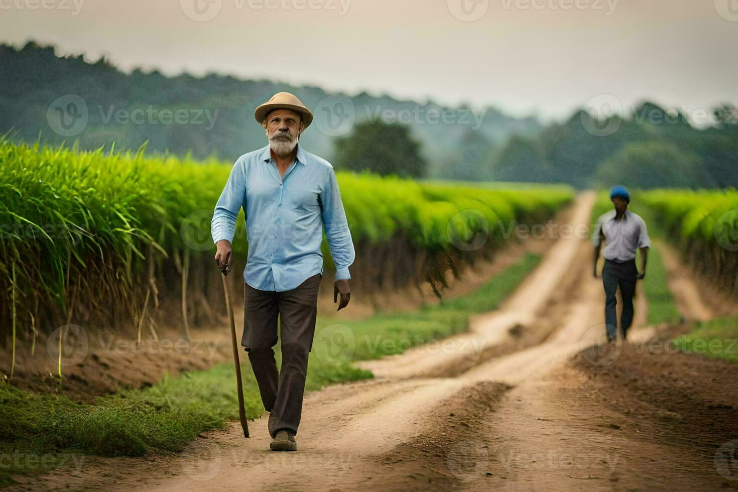 a man walking down a dirt road with cane in hand. AI-Generated photo