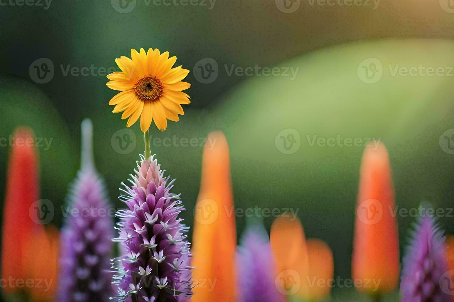 a single yellow flower is standing out from a field of purple and orange flowers. AI-Generated photo