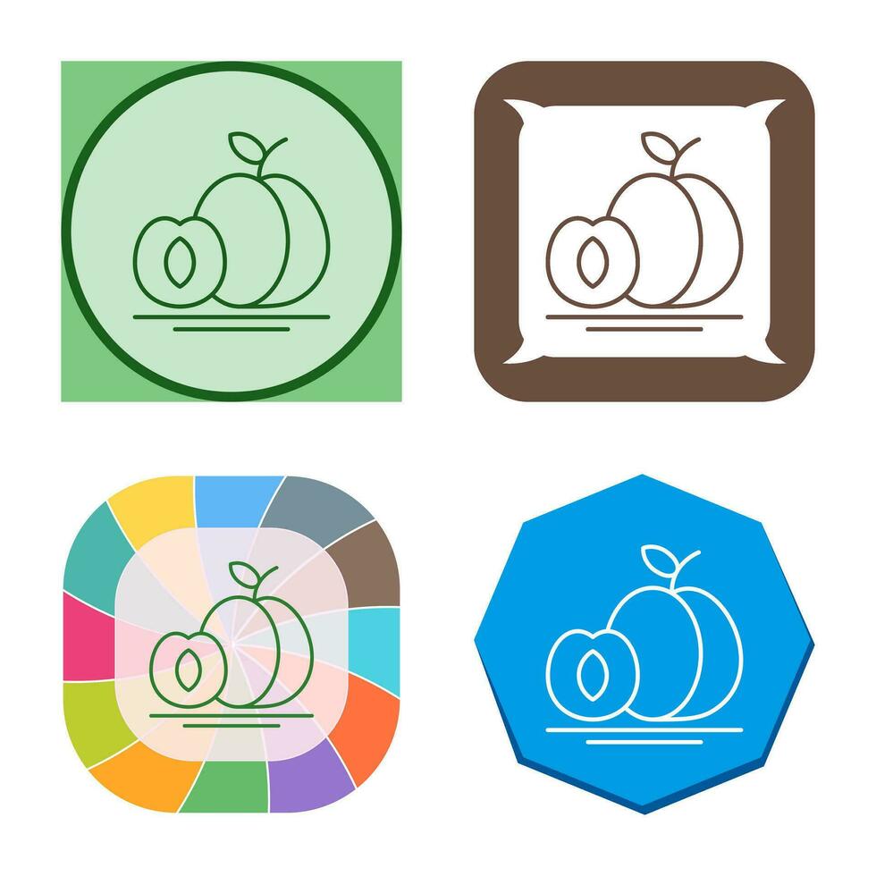 Apricot Vector Icon