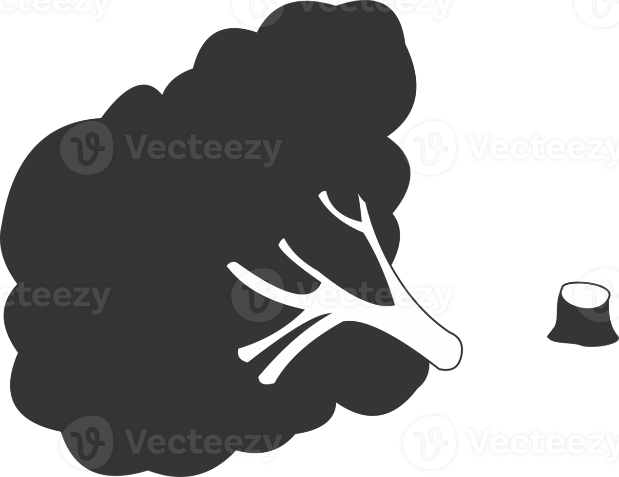 Sycamore tree icon png
