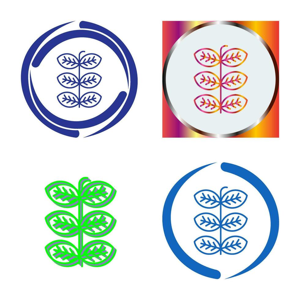 Tobacco Leafs Vector Icon
