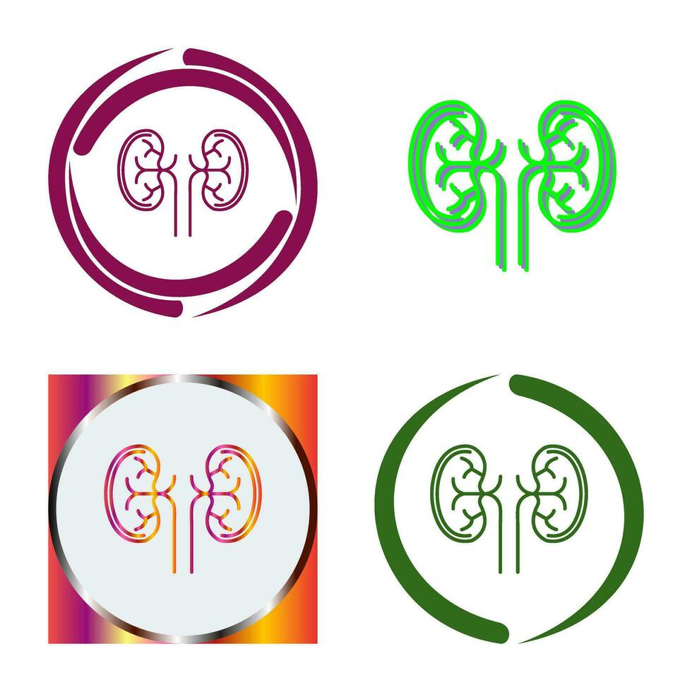 Kidney Vector Icon