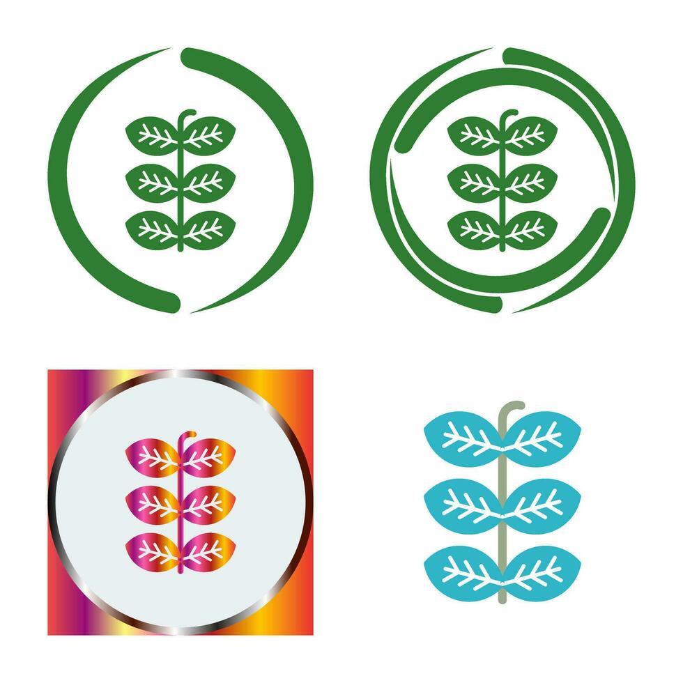 Tobacco Leafs Vector Icon