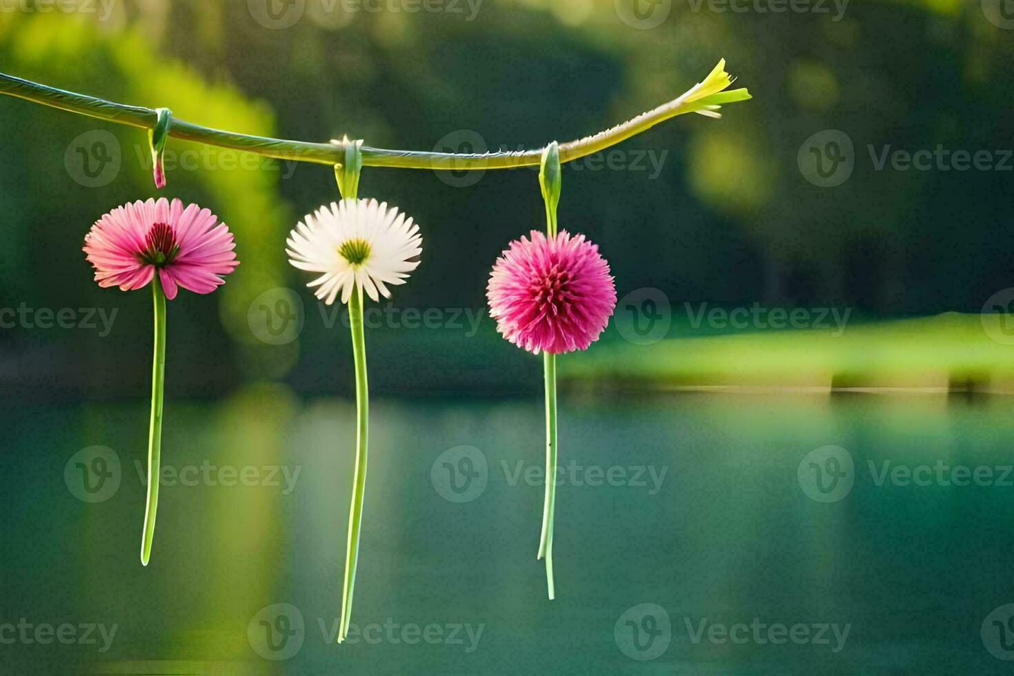 three pink flowers hanging from a branch over a lake. AI-Generated photo