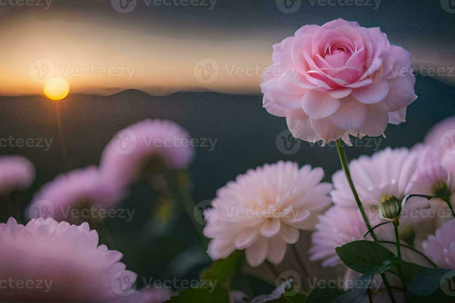 pink flowers in the sunset. AI-Generated photo
