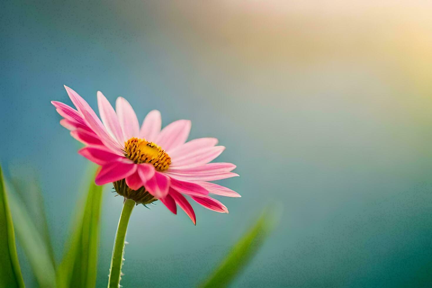 a pink flower is in front of a blurred background. AI-Generated photo