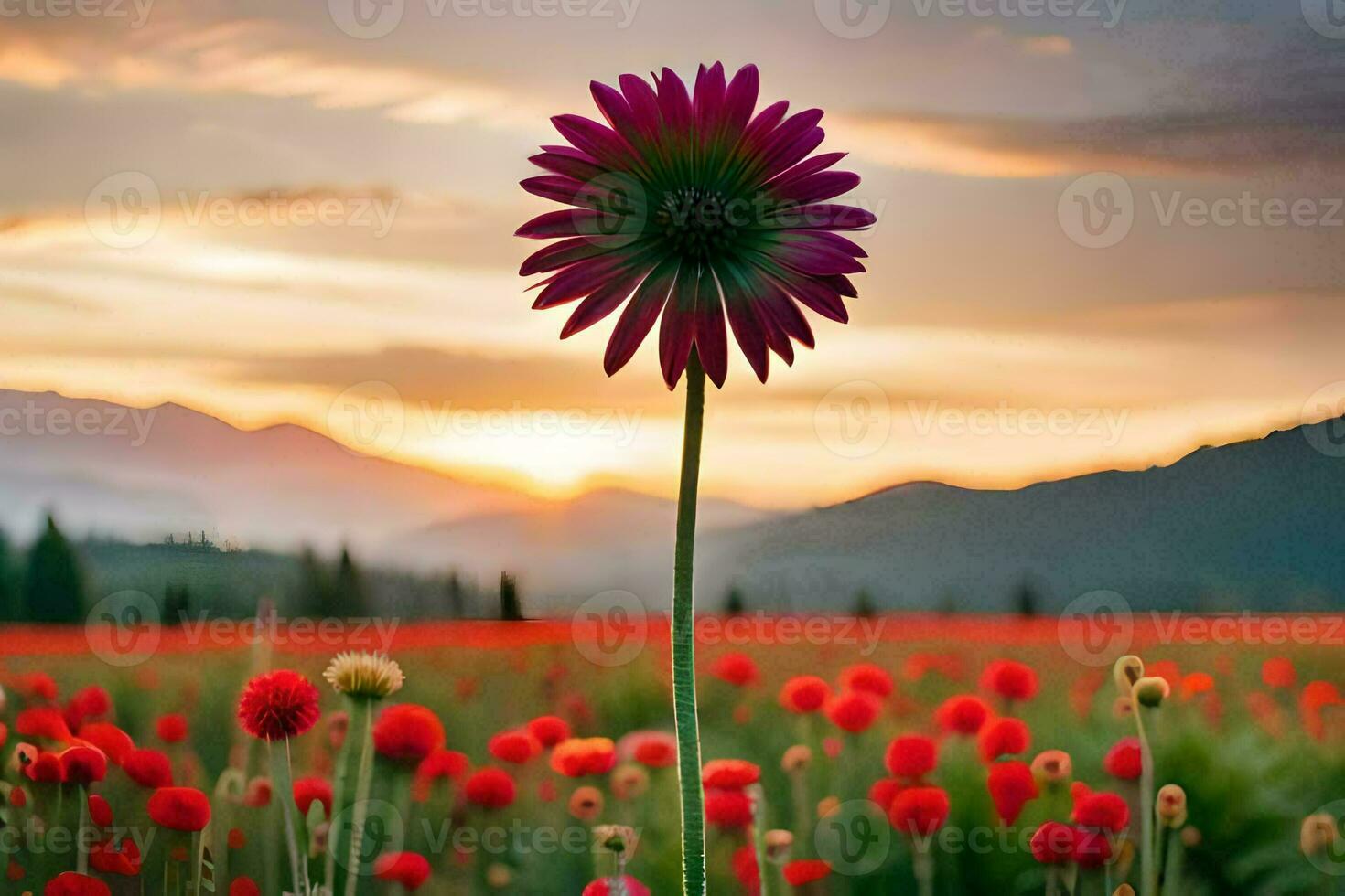 a single flower stands in the middle of a field of red flowers. AI-Generated photo