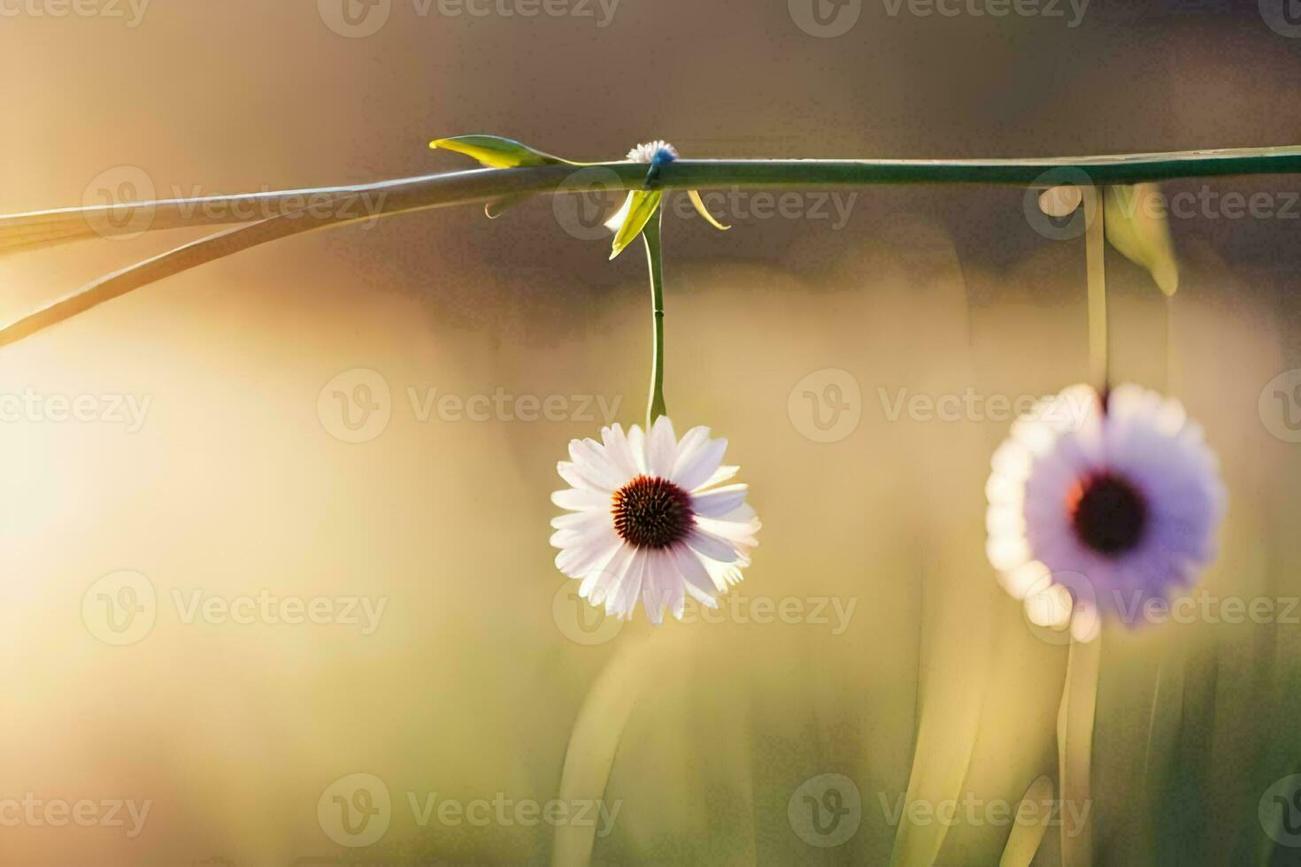 two white flowers hanging from a branch in the sun. AI-Generated photo