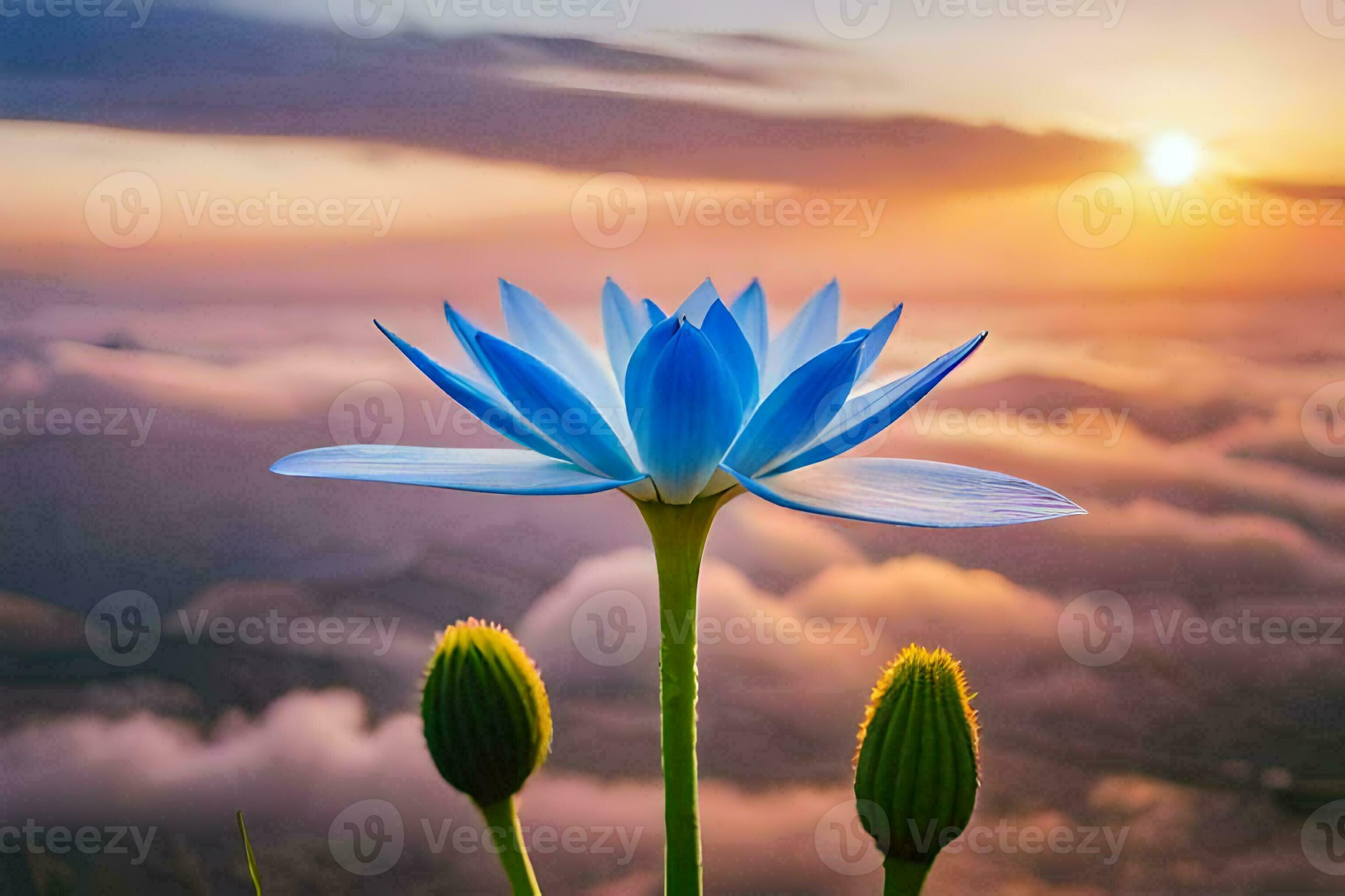 The Lotus Flower Is A Symbol Of Peace And Tranquility AI Generated the-lotus-flower-is-a-symbol-of-peace-and-tranquility-ai-generated