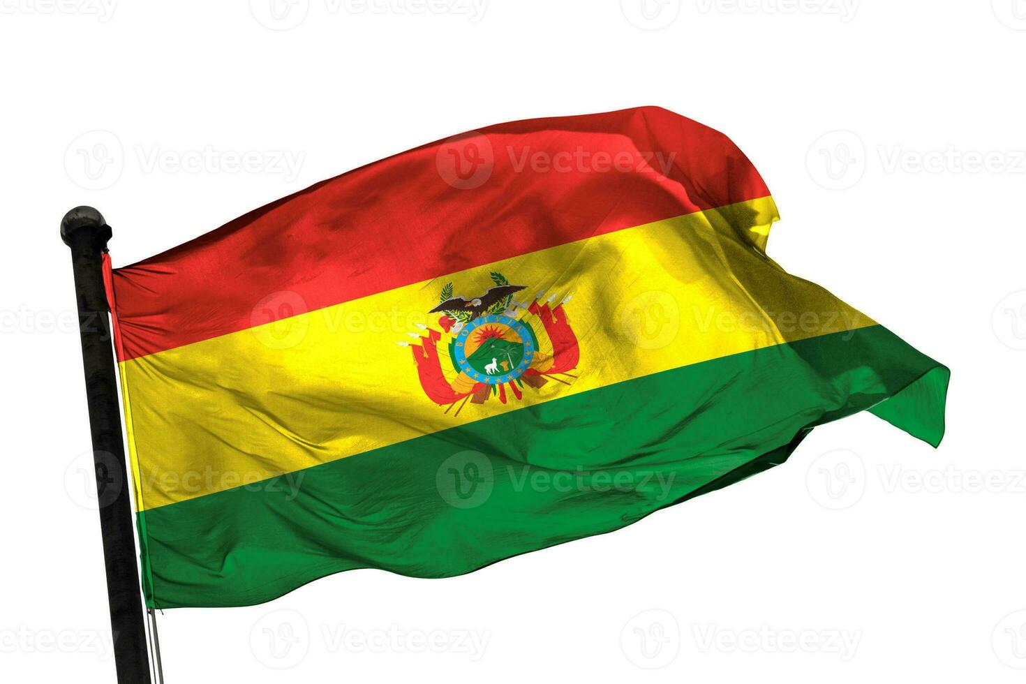Bolivia flag on a white background. - image. photo