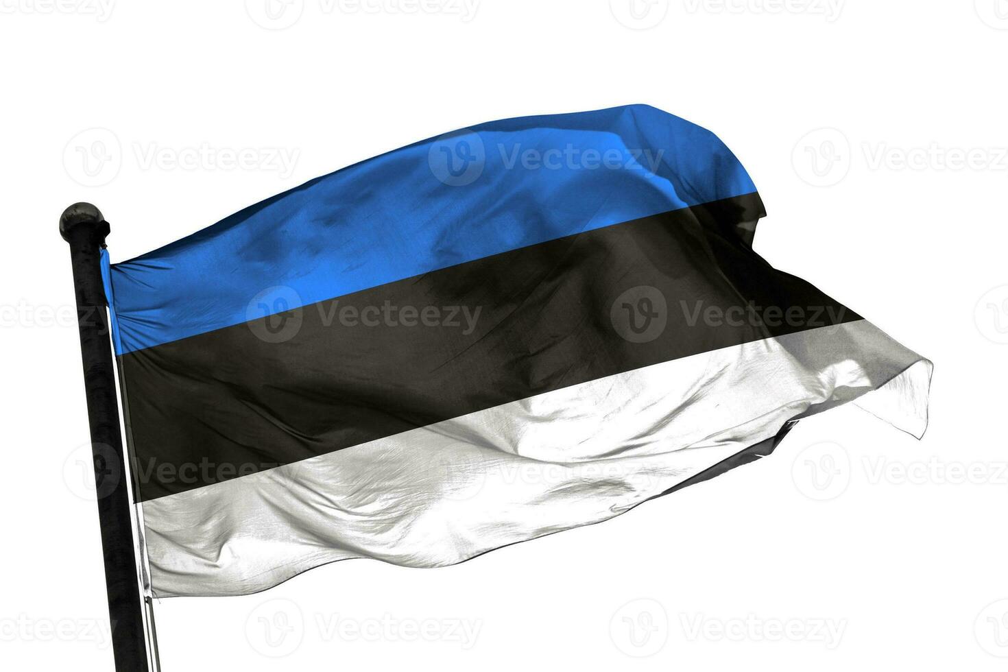 Estonia flag on a white background. - image. photo