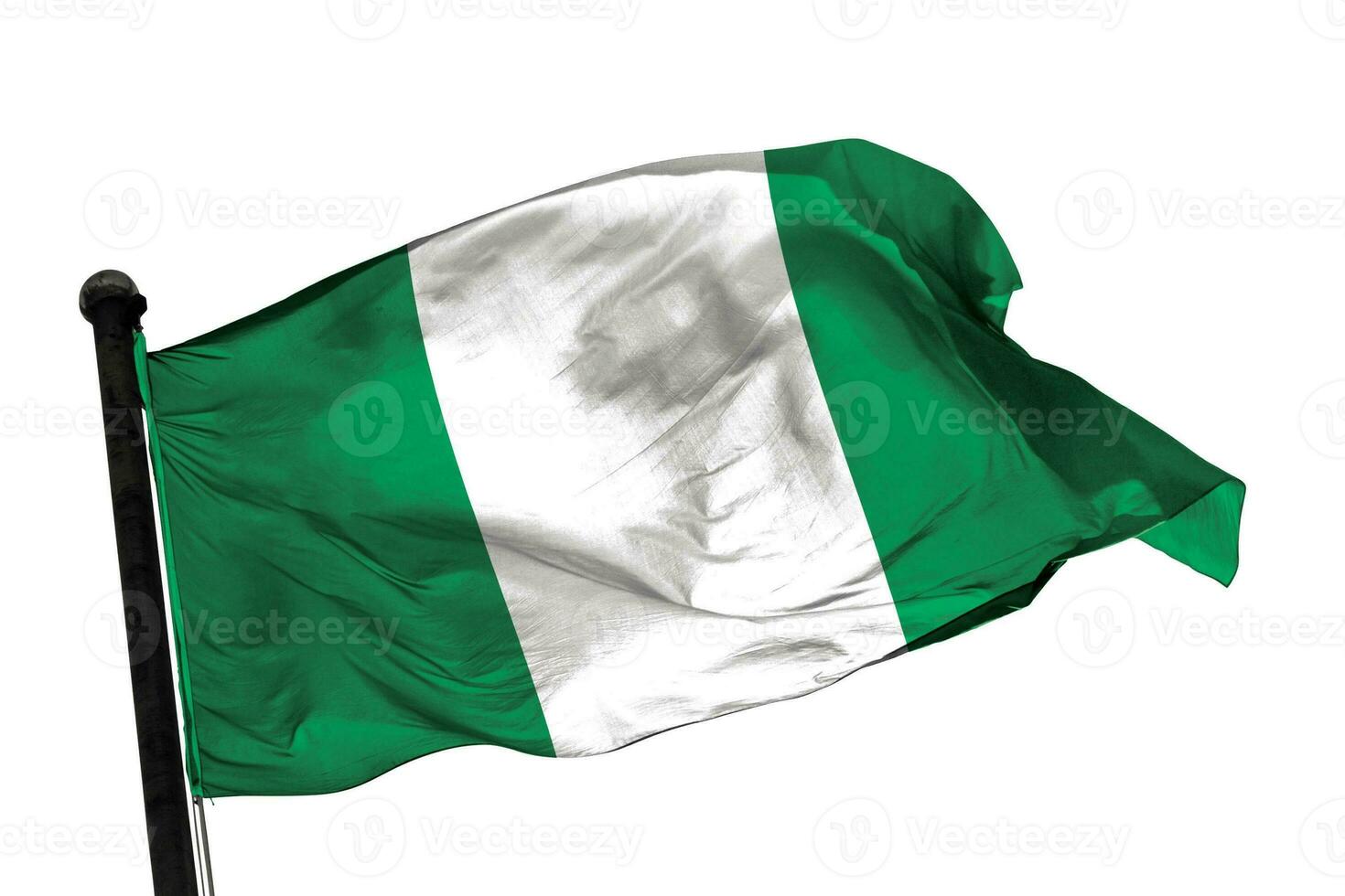 Nigeria flag on a white background. - image. photo