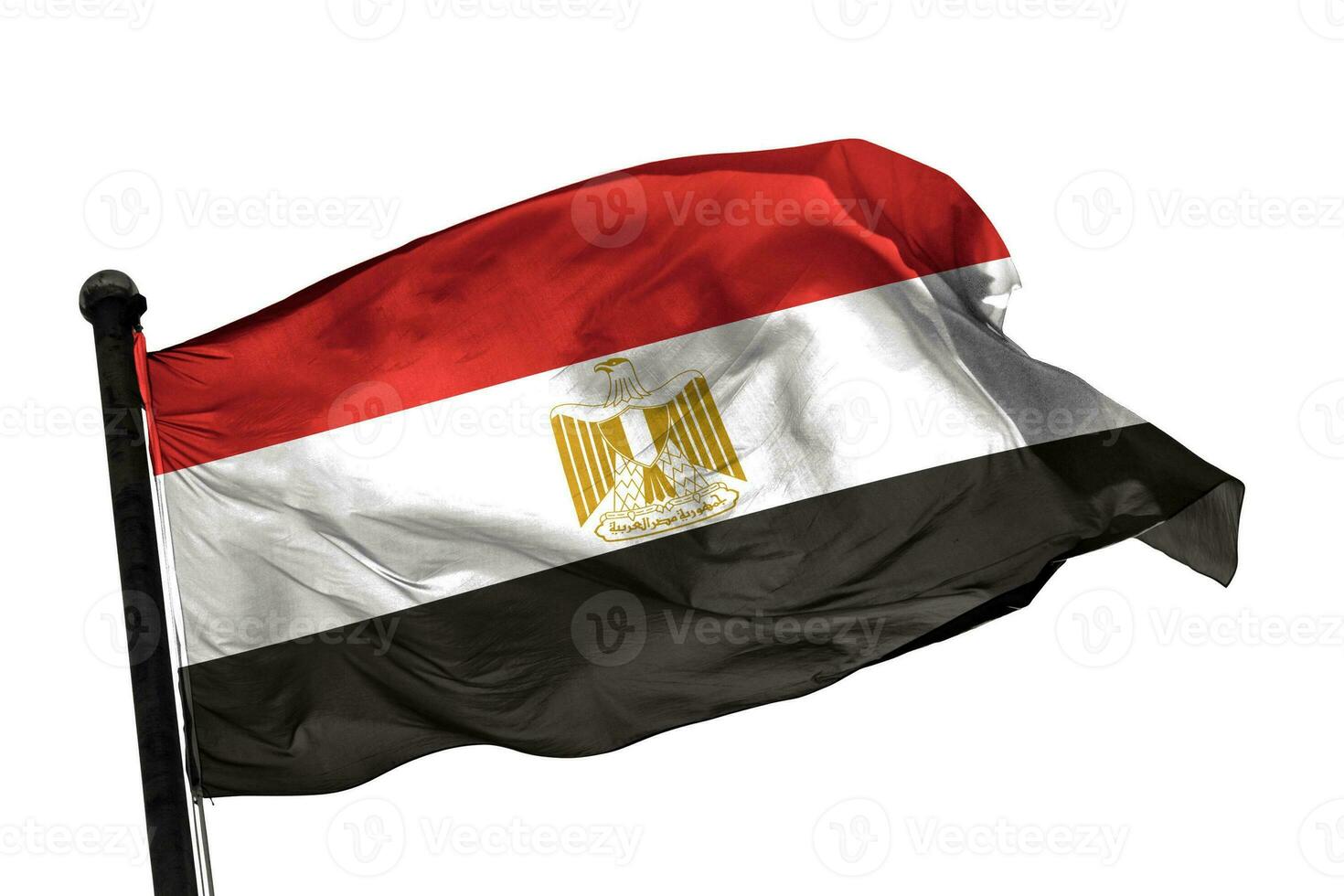 Egypt flag on a white background. - image. photo