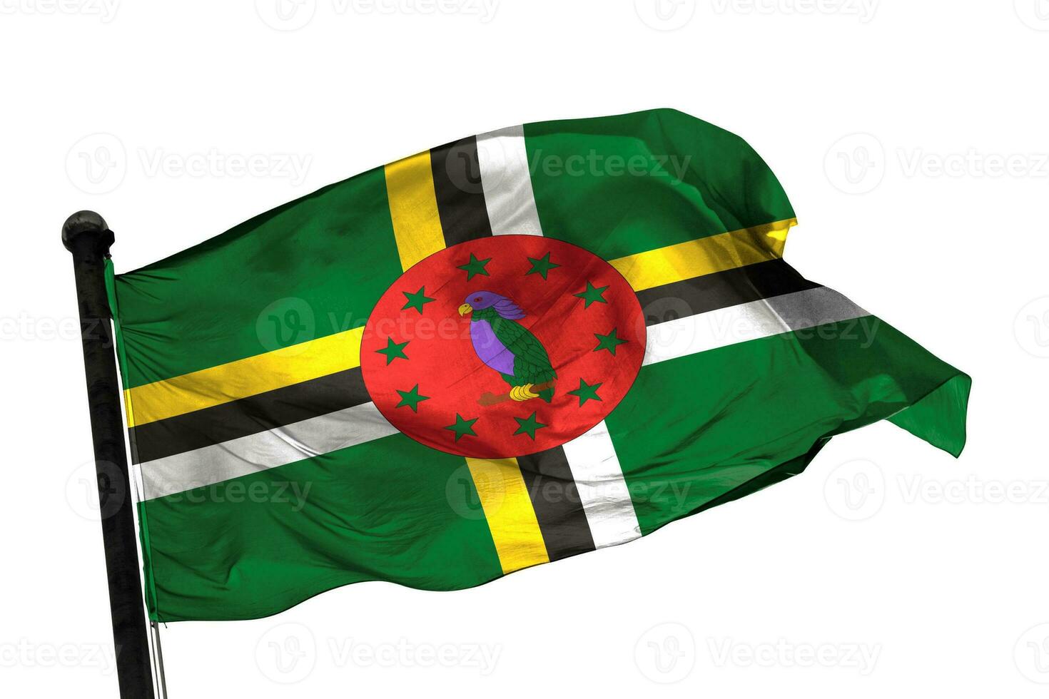 Dominica flag on a white background. - image. photo