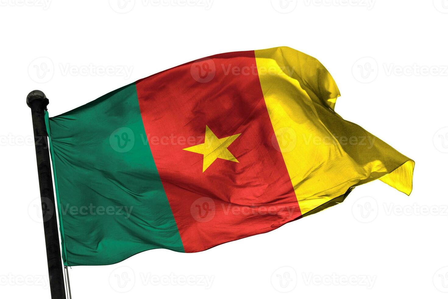 Cameroon flag on a white background. - image. photo