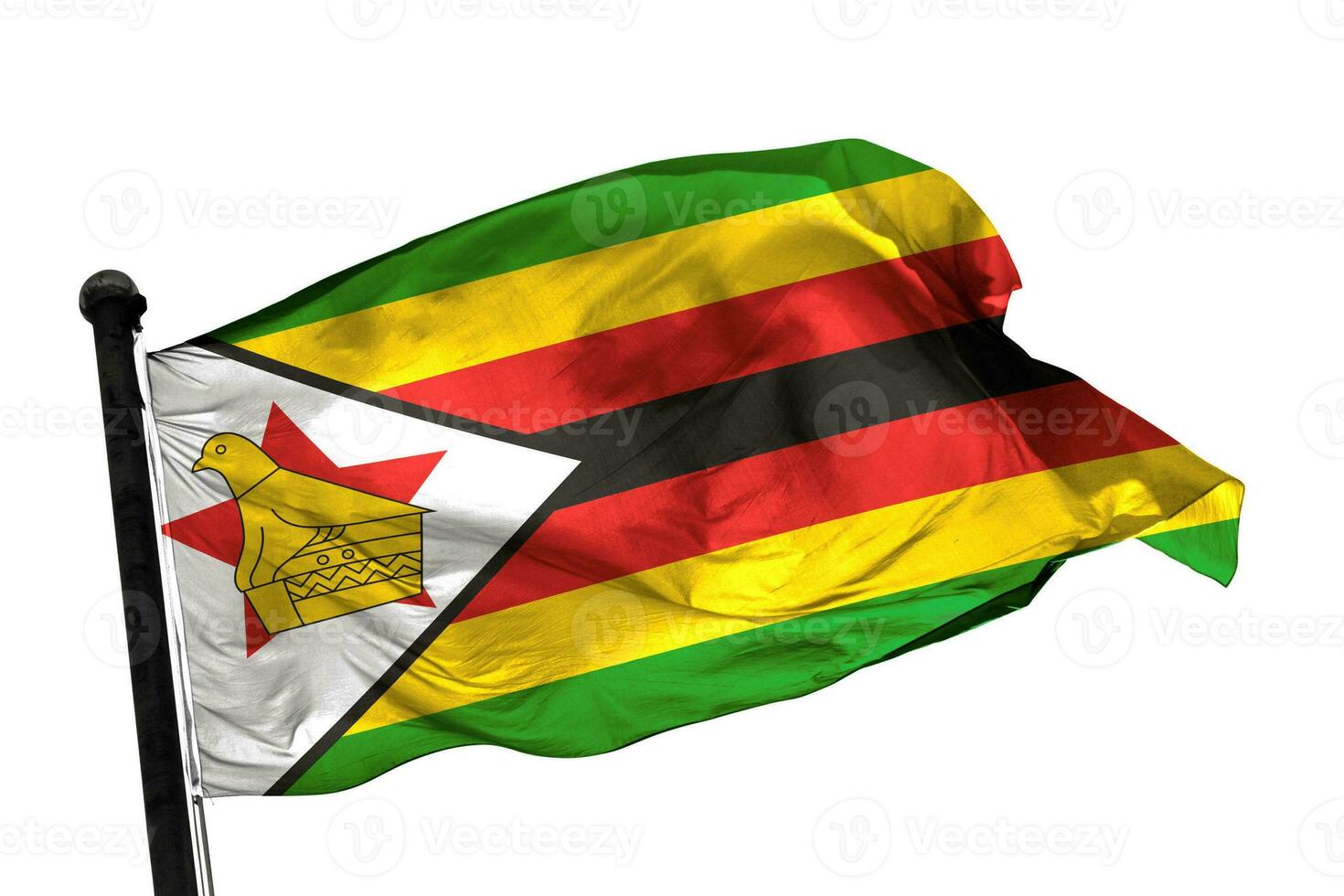 Zimbabwe flag on a white background. - image. photo