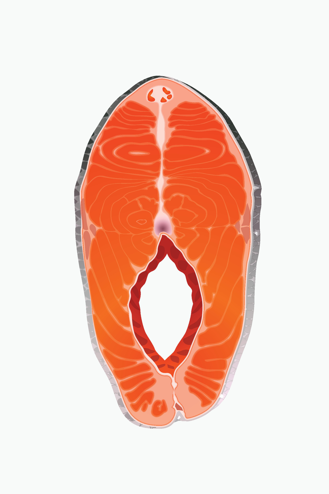 Fish Slice Isolated 31963012 Vector Art At Vecteezy fish-slice-isolated-31963012-vector-art-at-vecteezy
