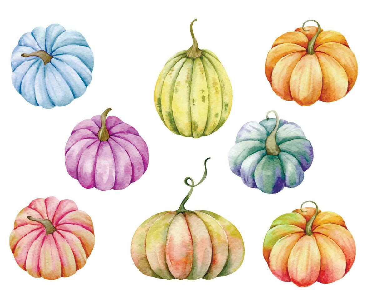 Autumn Thanksgiving Watercolor Pumpkins set on white background vector