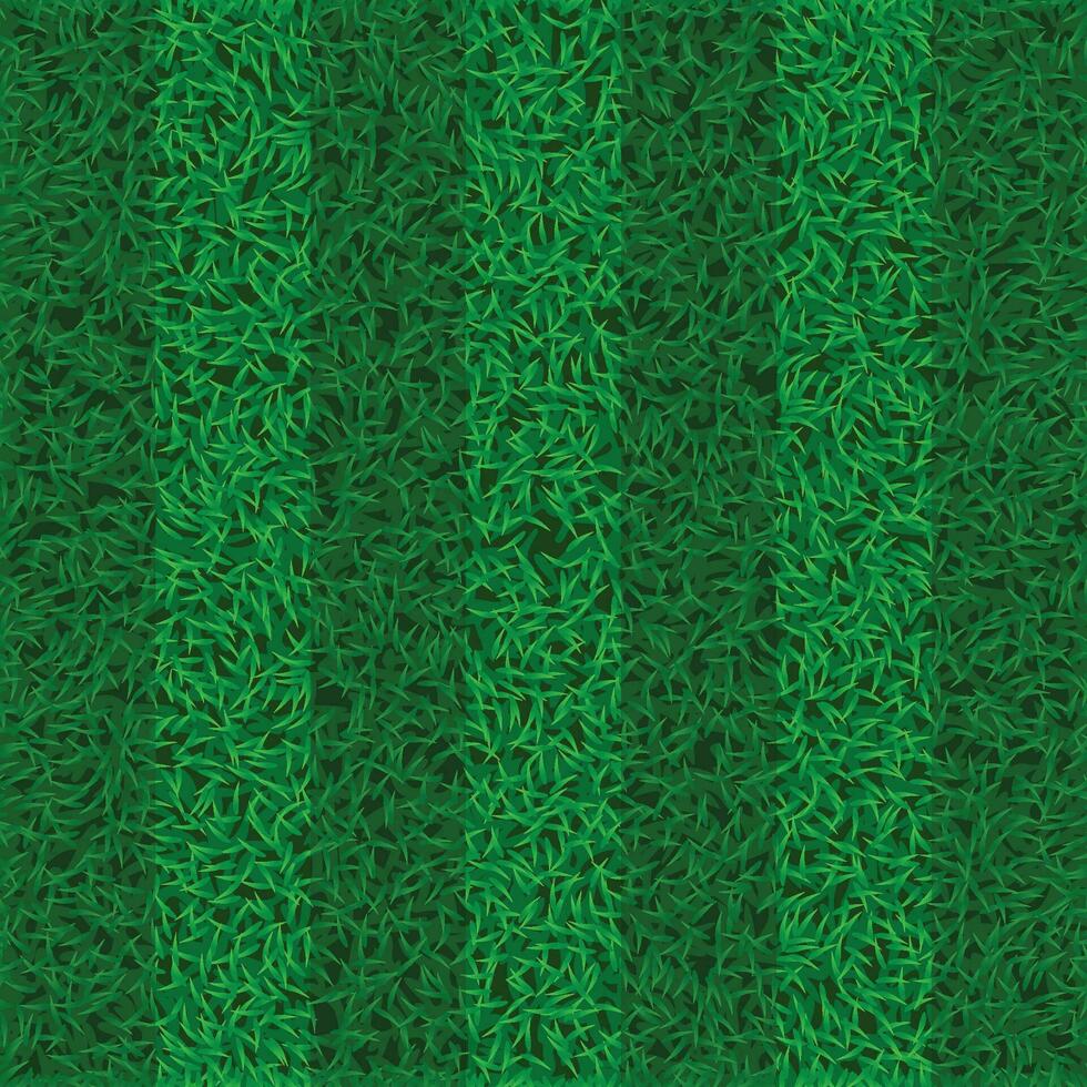 picture of grass field vector