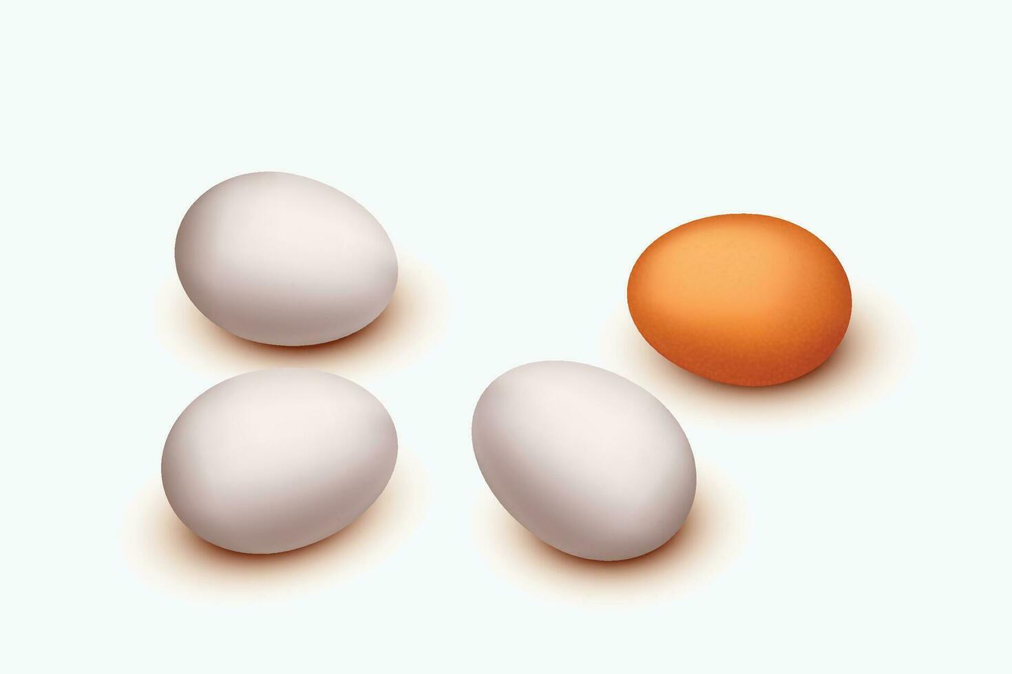 egg group lying vector