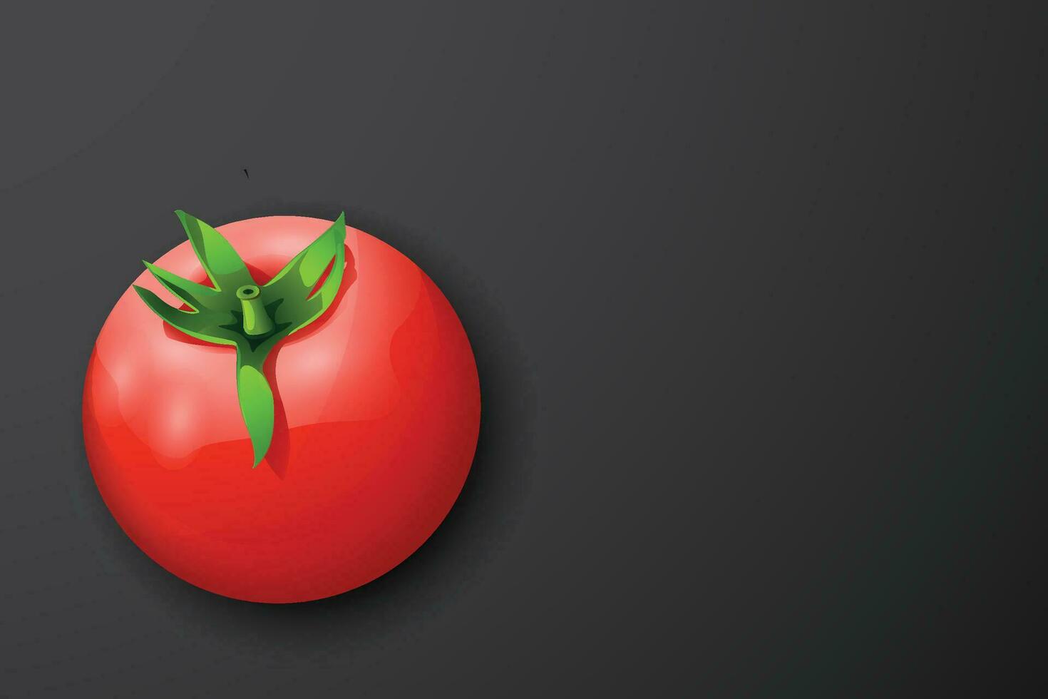 red tomato lying on dark back vector