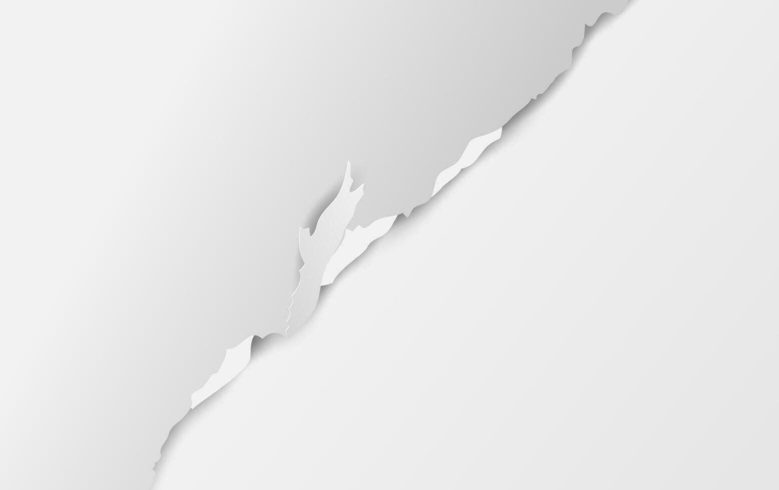 torn paper white background.Ripped and paper strips with soft light shadow on squared wall.Creative design paper craft and cut style.Vector template.card. seamless Diagonal.illustration EPS10 vector