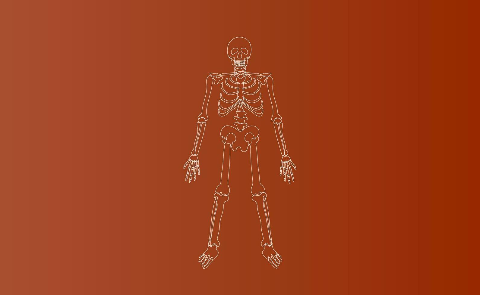 Halloween Characters of Skeleton drawing line simple.icon on brown isolate background.Creative hand sketch minimal scene place for your text.Biology body human anatomy design vector illustration EPS10