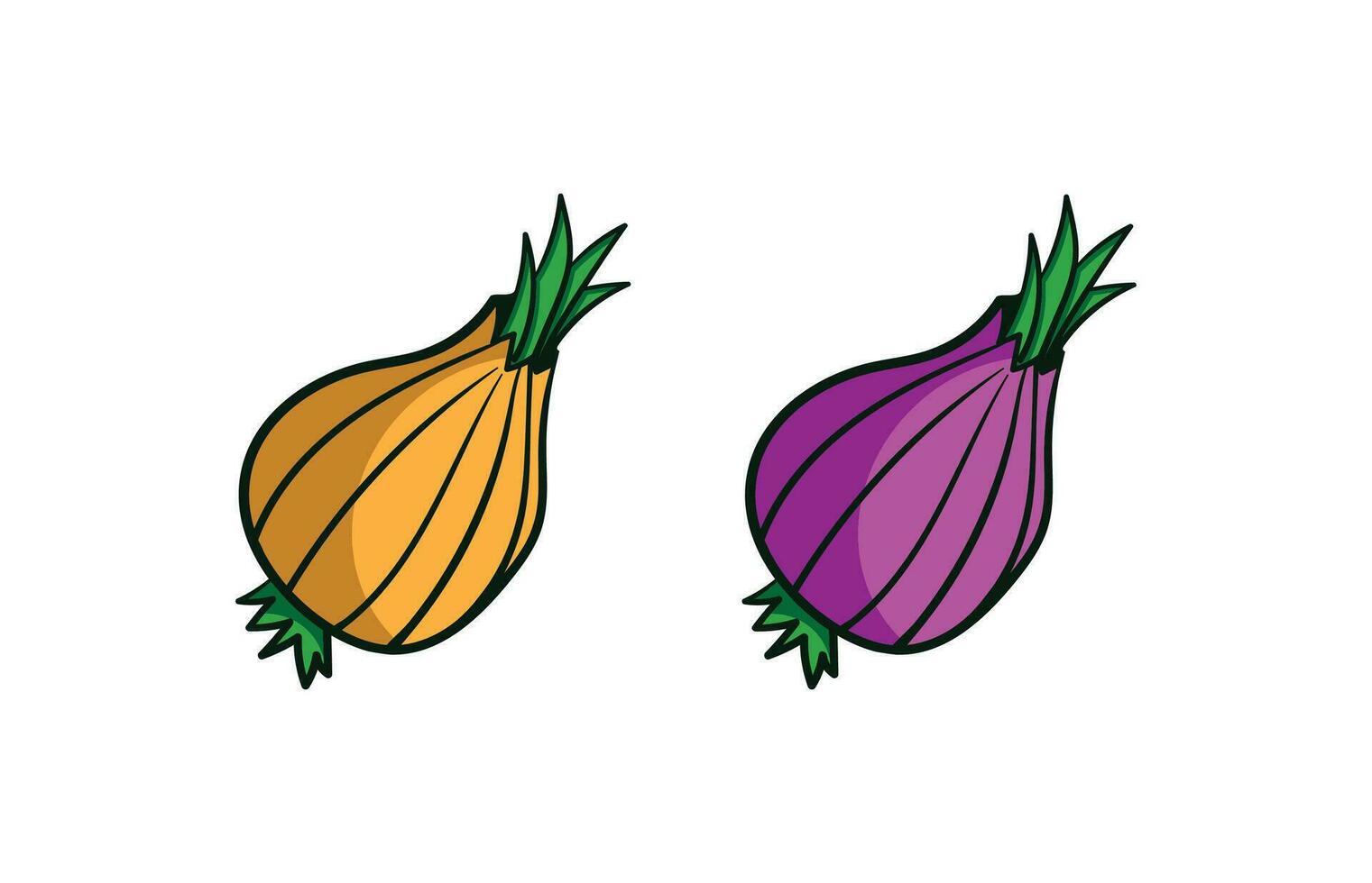 onion orange purple vector