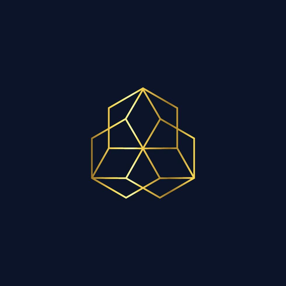 elegant abstract geometry logo vector