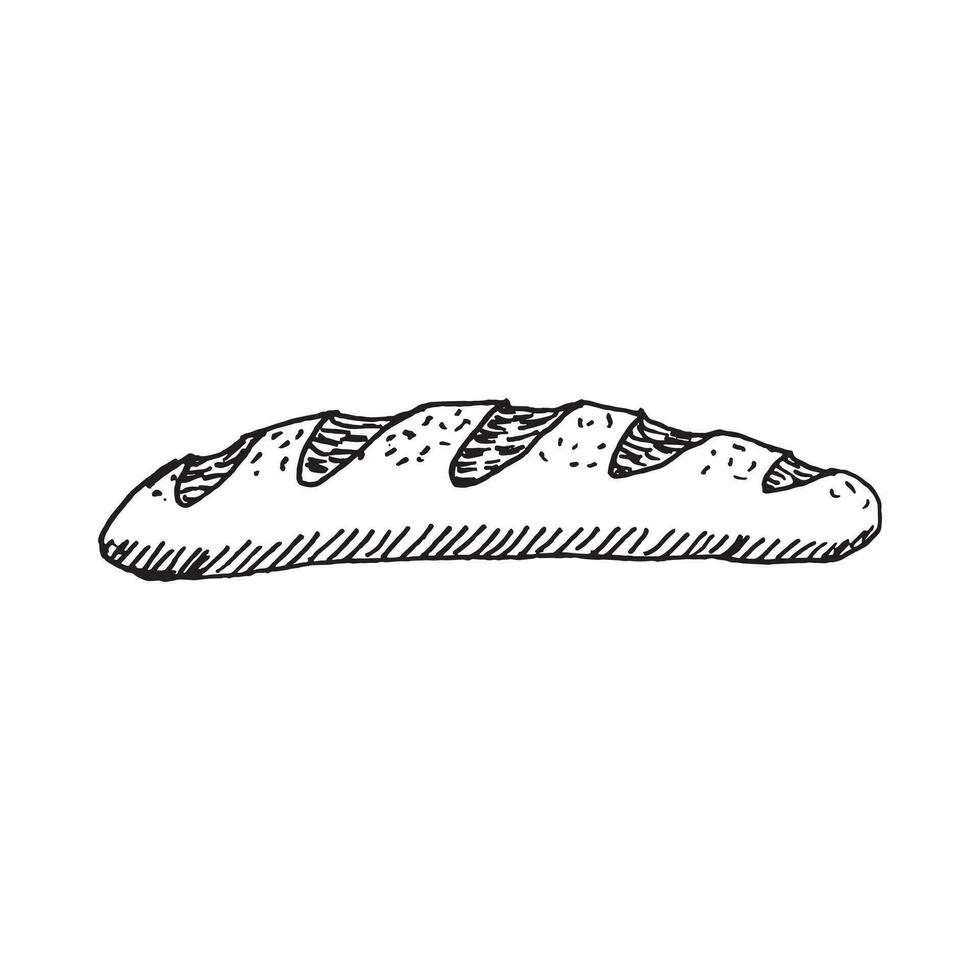 Loaf of bread illustration. Bread sketch style. Old hand drawn engraving imitation. vector