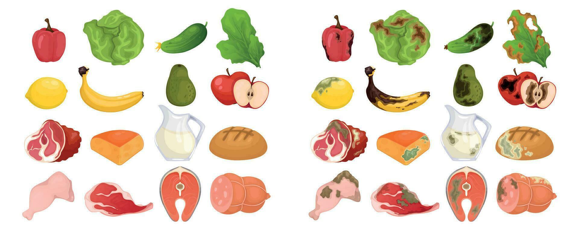 Fresh And Rotten Food Set vector