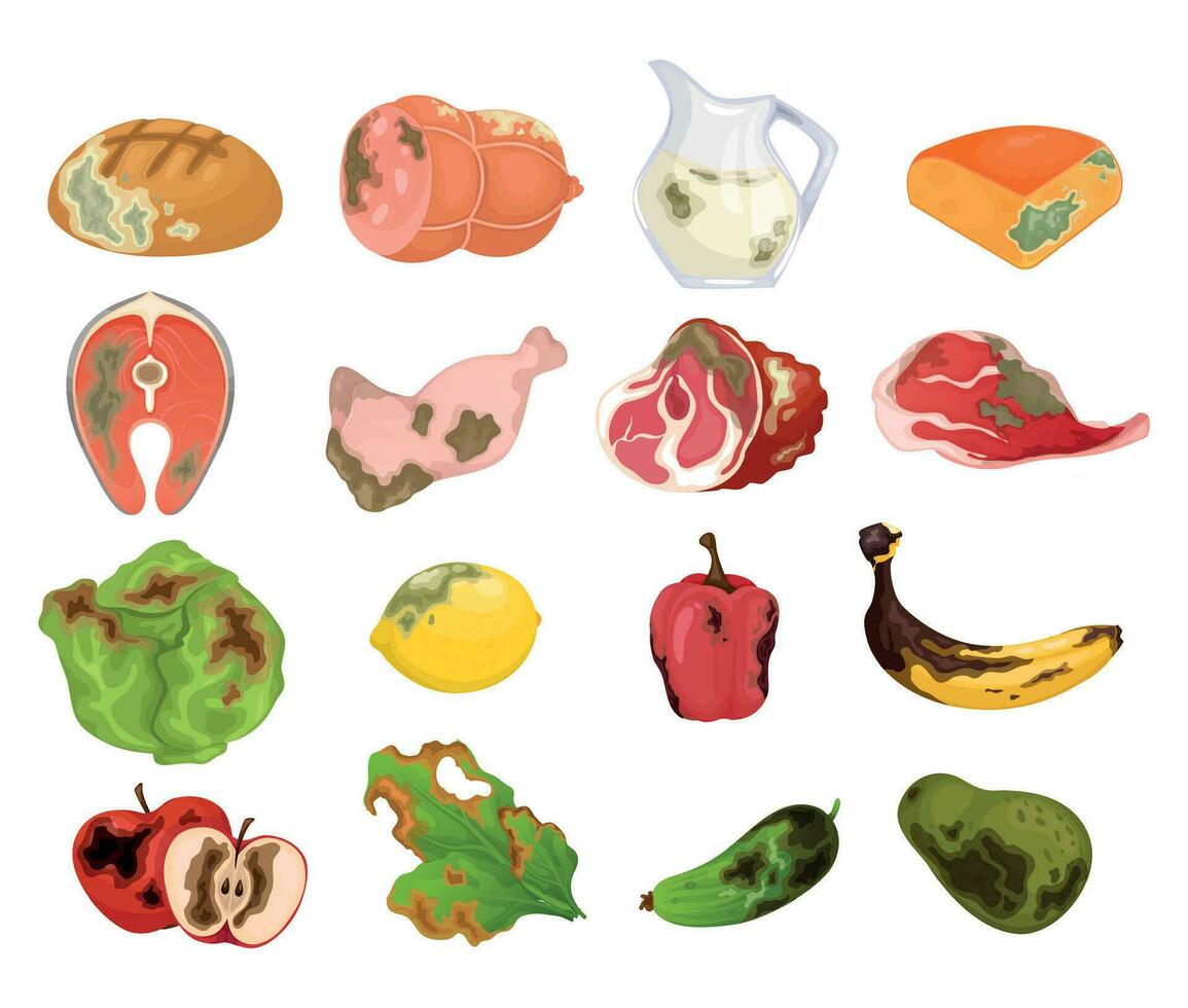 Rotten Food Cartoon Set vector