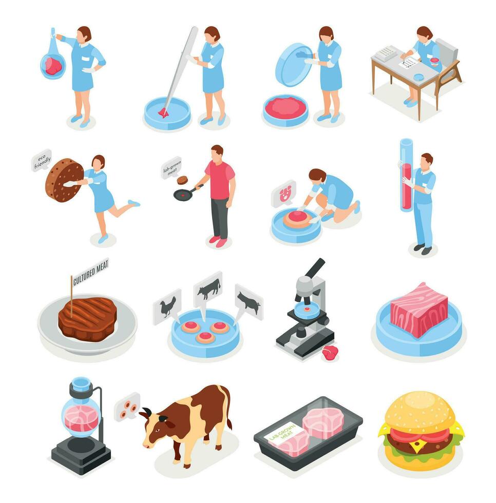 Artificial Grown Meat Isometric Icons vector