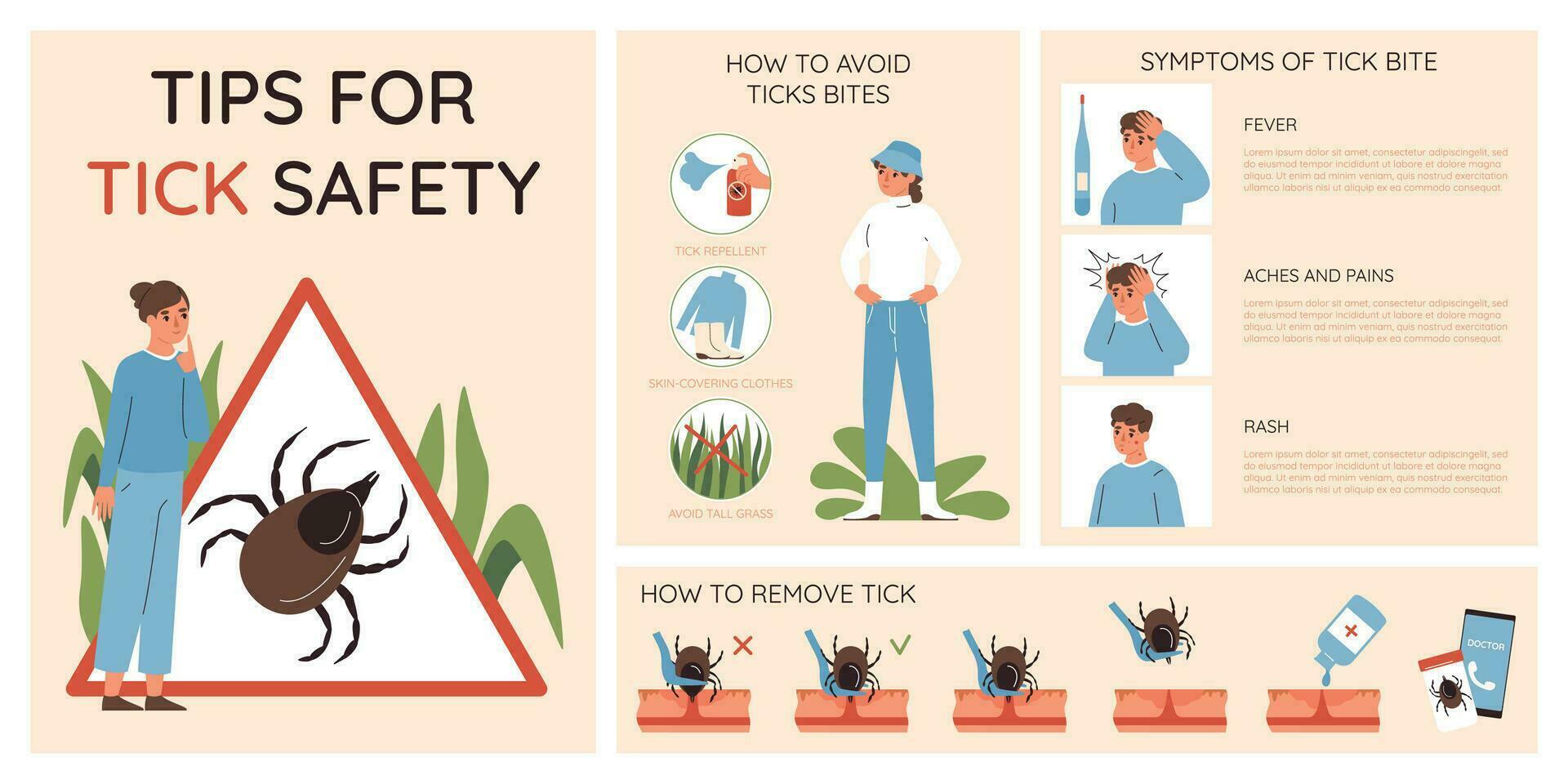 Insects Infographic Set vector