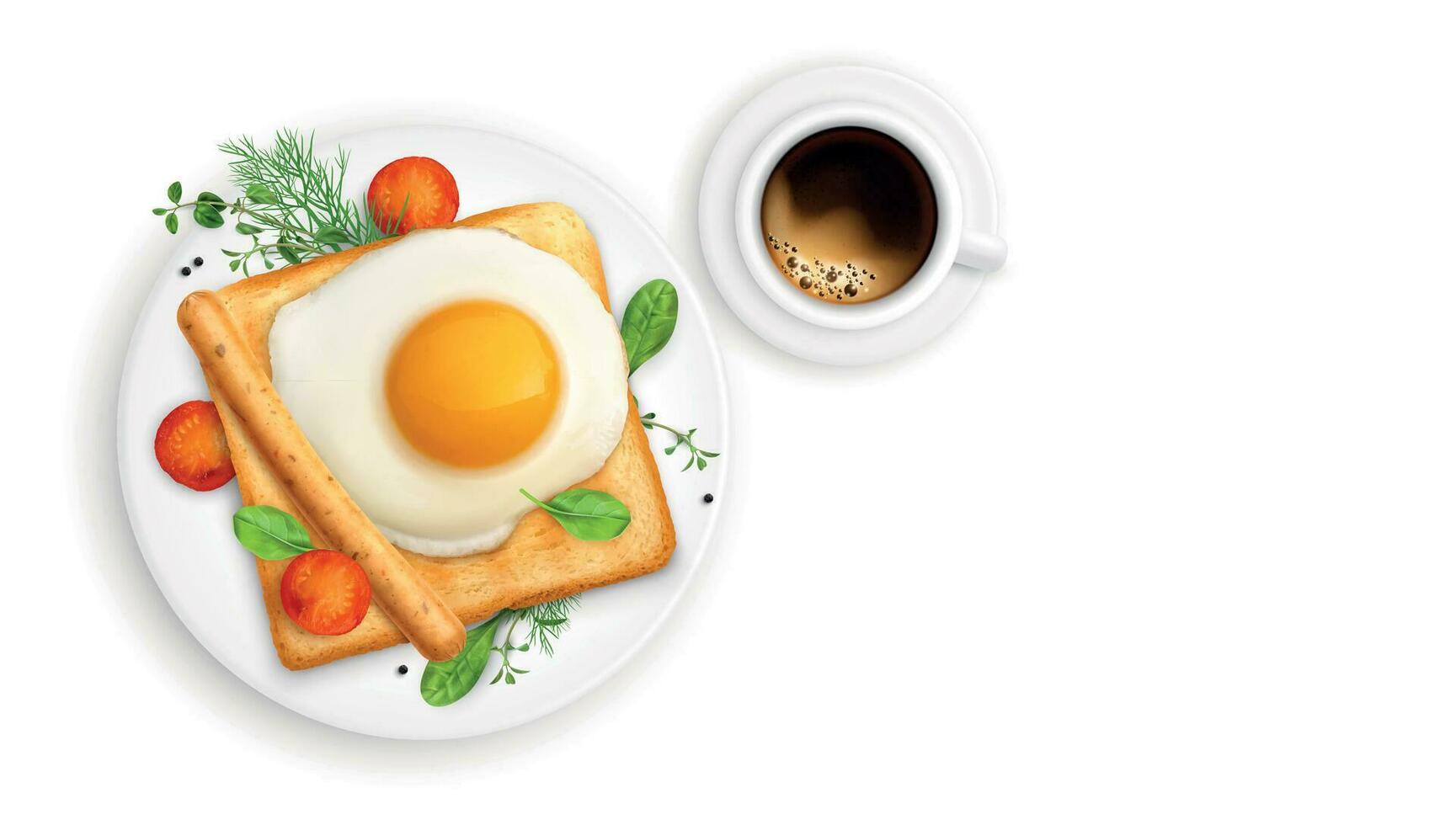 Toast Fried Egg Composition vector