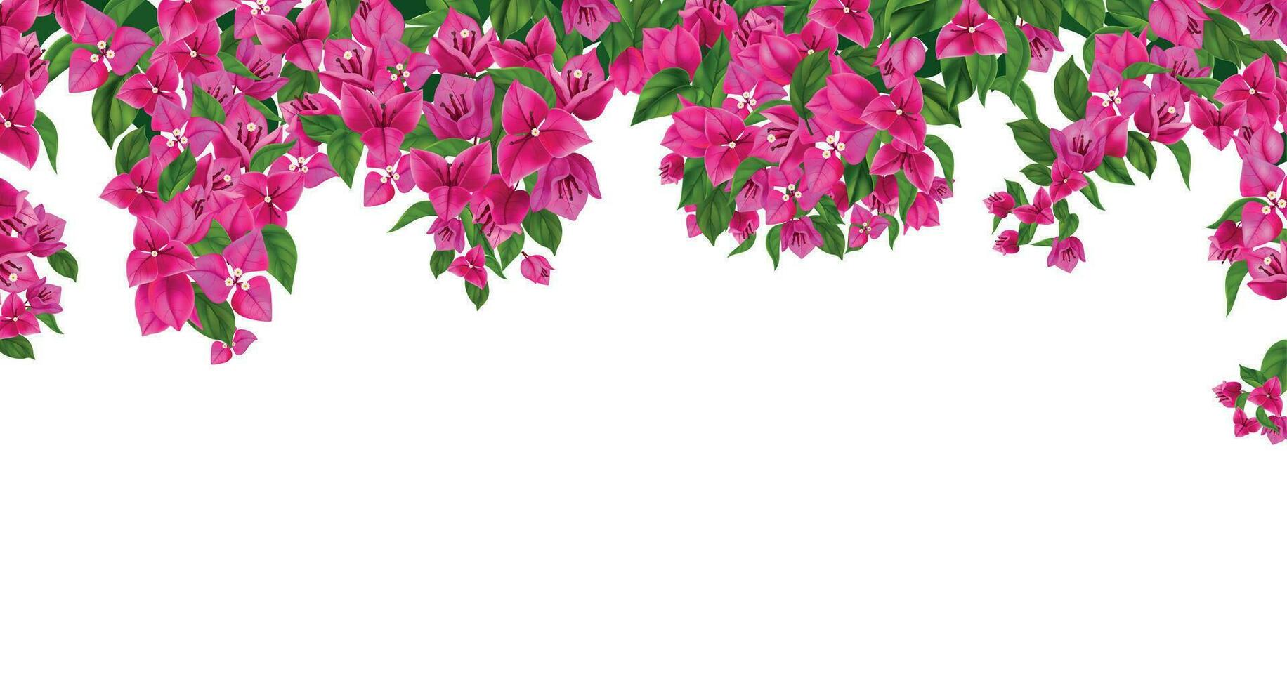 Bougainvillea Realistic Background vector