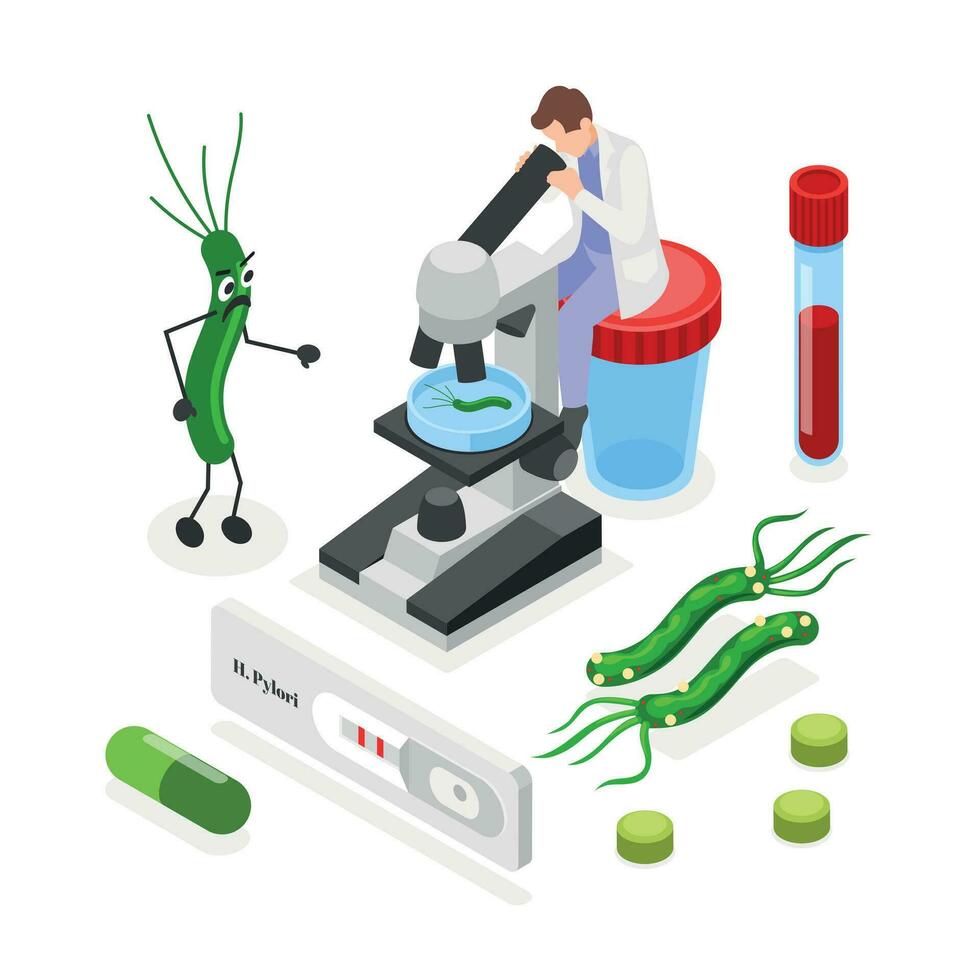 Helicobacter Pylori Isometric Design Concept vector