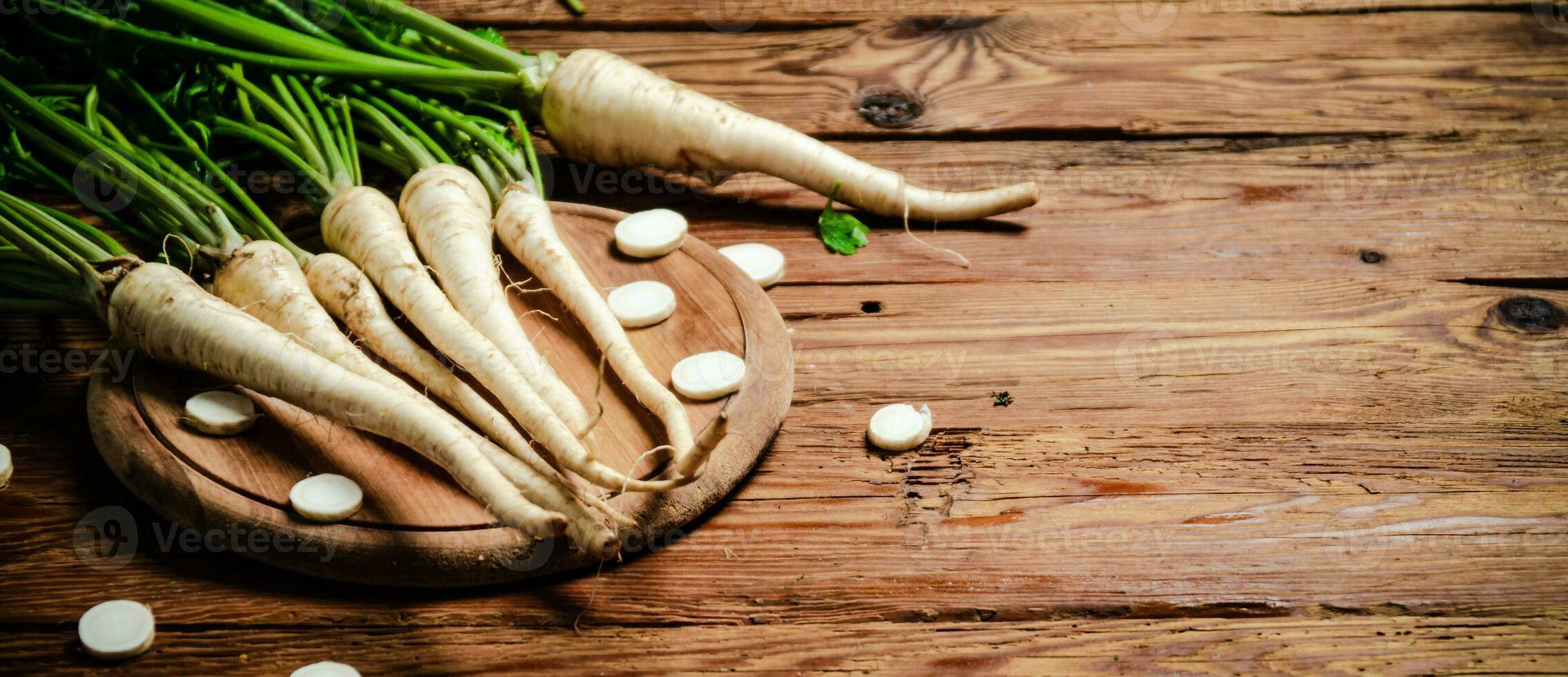 Fresh parsley root . photo