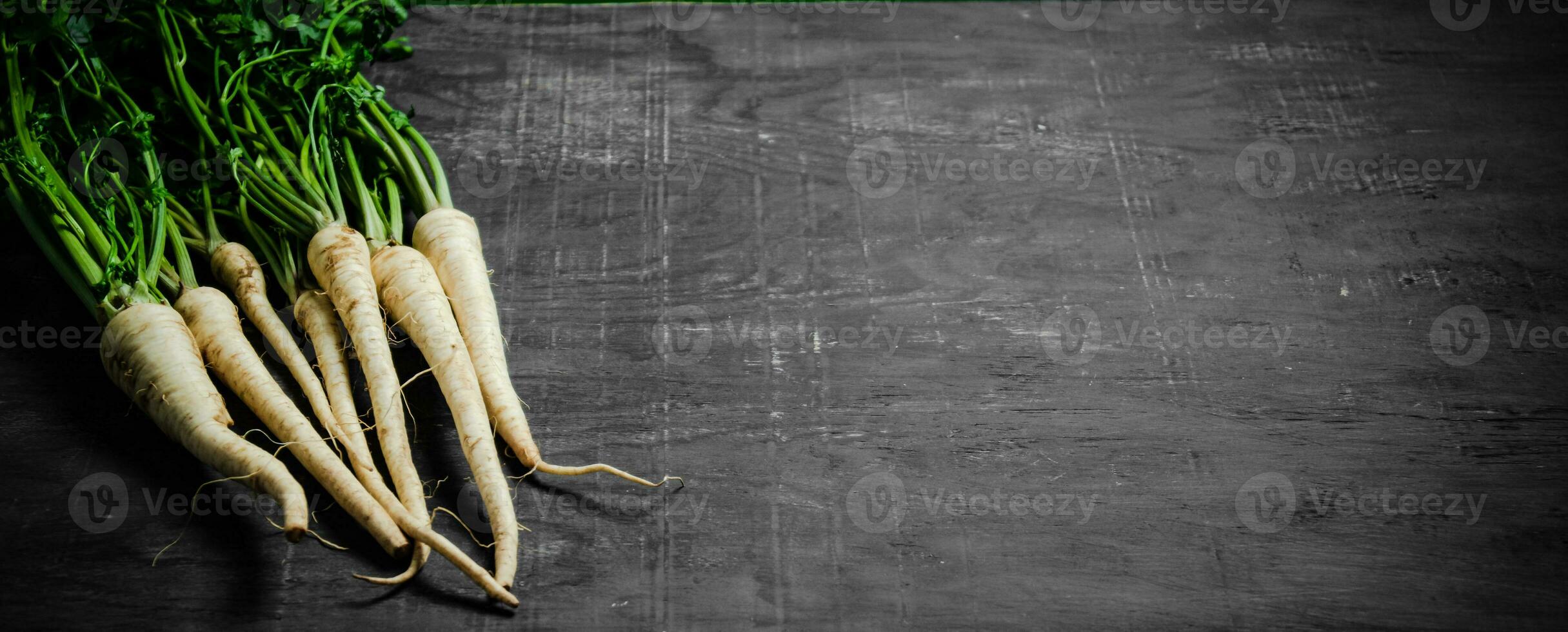 Fresh parsley root . photo