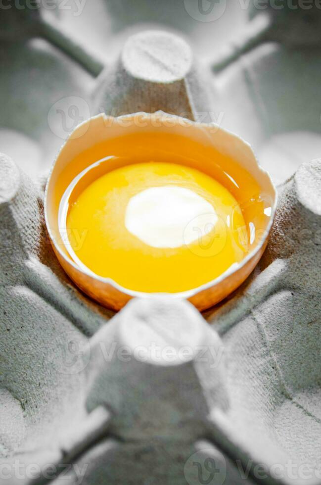 Chicken yolk in shell. photo