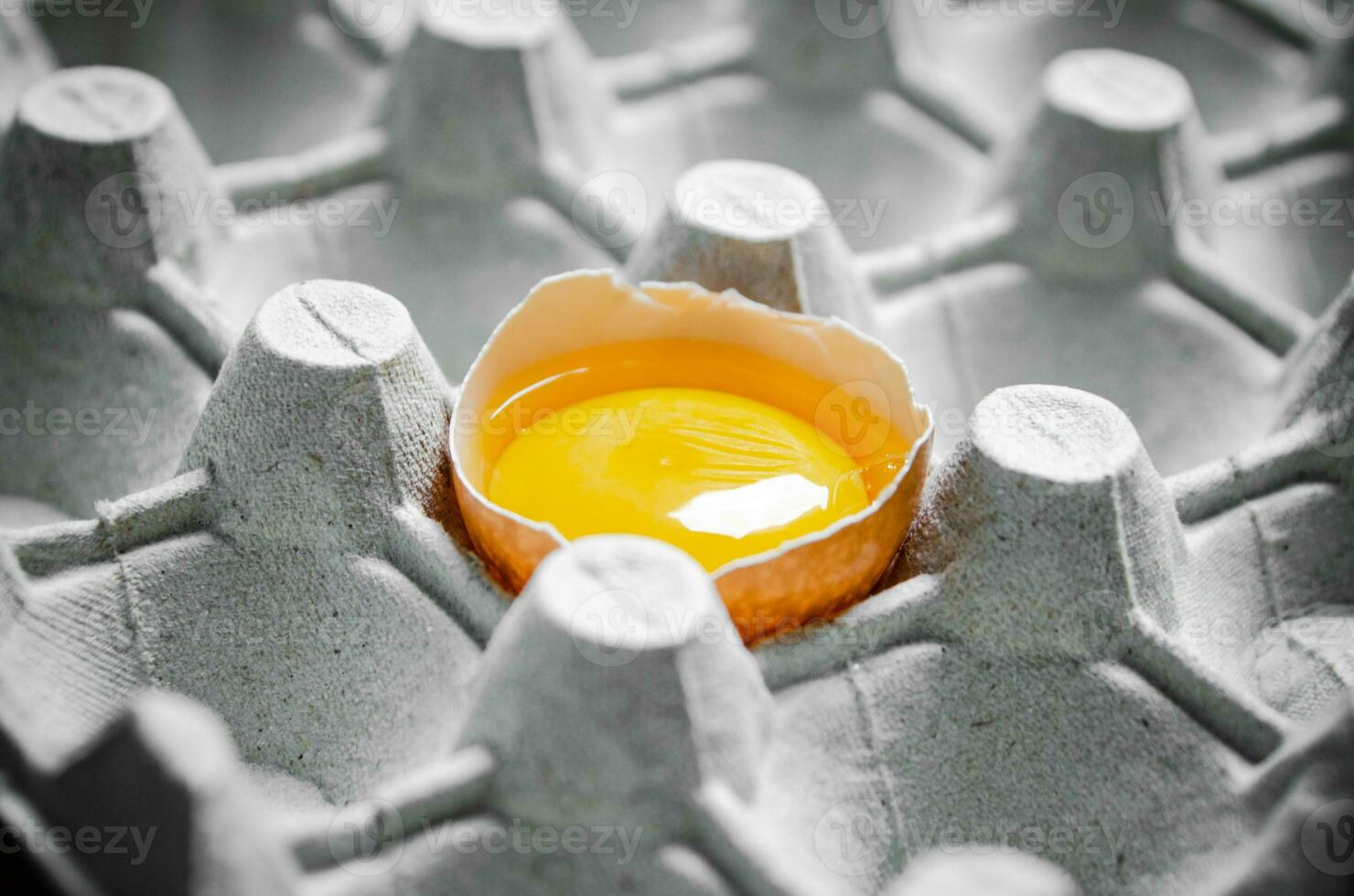 Chicken yolk in shell. photo