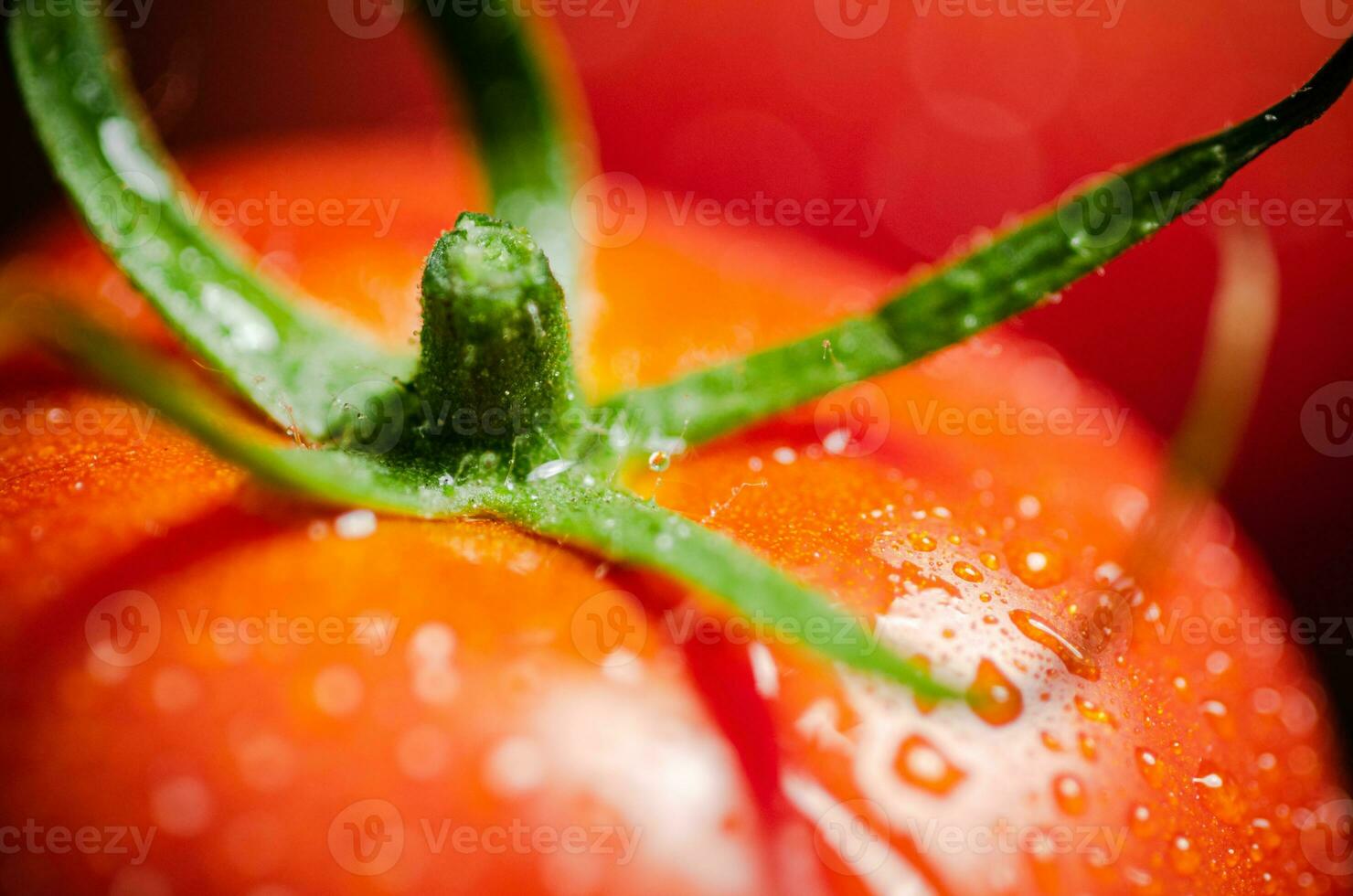 Fresh tomatoes macro. photo
